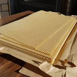 Mittelwände aus Bienenwachs