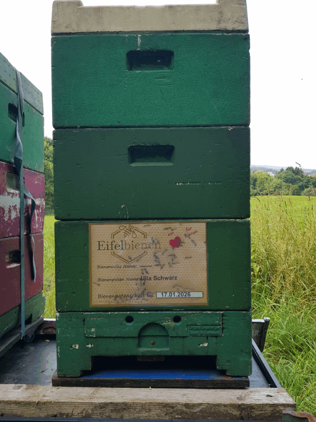Bienenpatenschaft – Bild 6