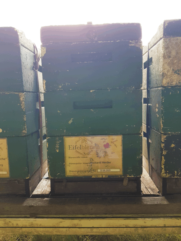 Bienenpatenschaft – Bild 4